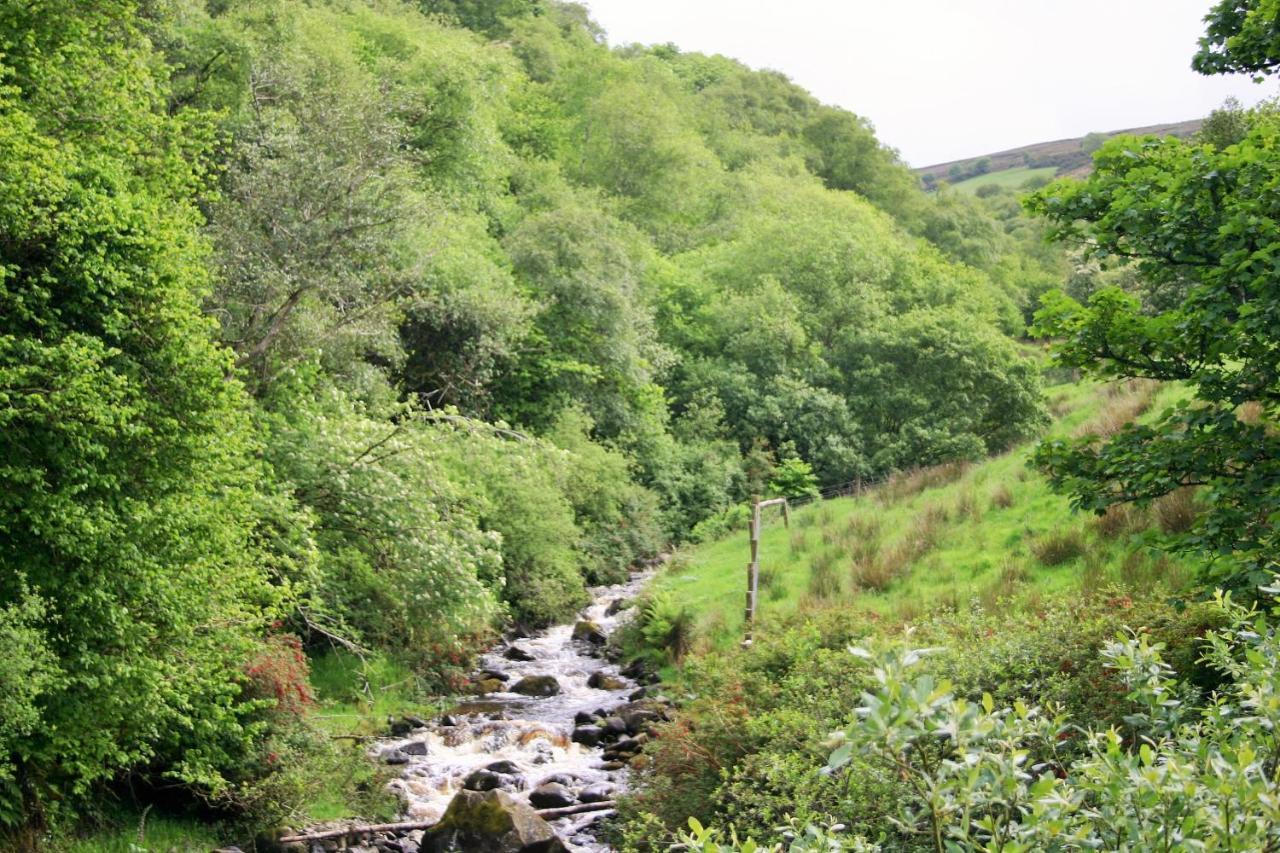 Wild Atlantic View Inishowen กรีนแคสเซิล ภายนอก รูปภาพ